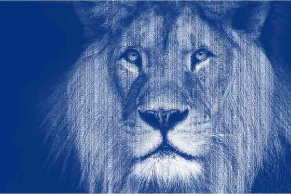 Como funciona a tributação em fundos de investimentos